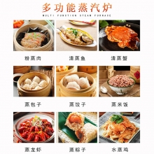 亚卫智能蒸汽炉